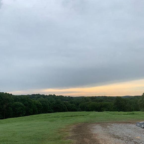 Meet your Posher, Joey - Picture 1 of 1